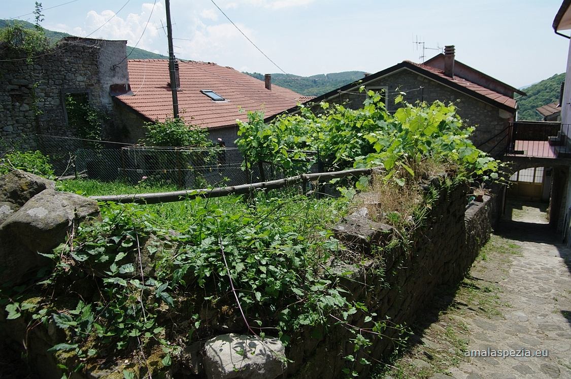 Guinadi · In paese
