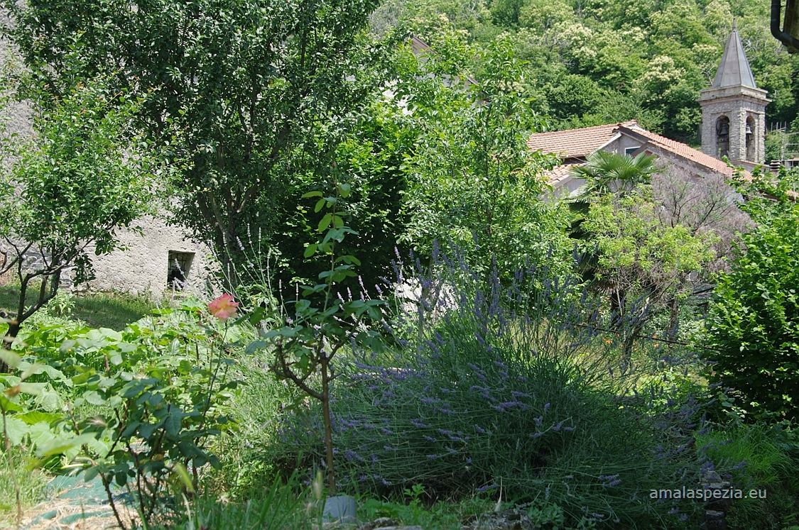 Guinadi · In paese