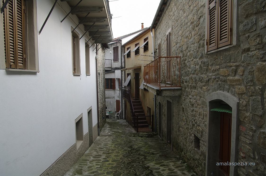 Guinadi · Case