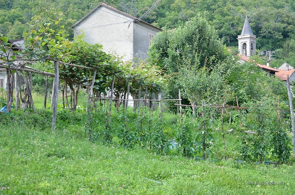 Guinadi · In paese