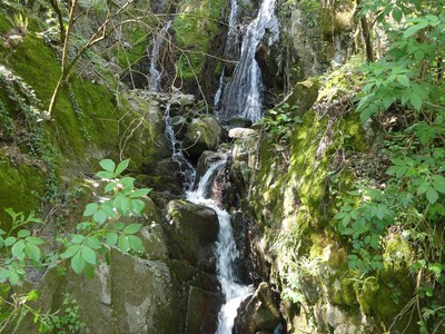 Vasque claire du fiume