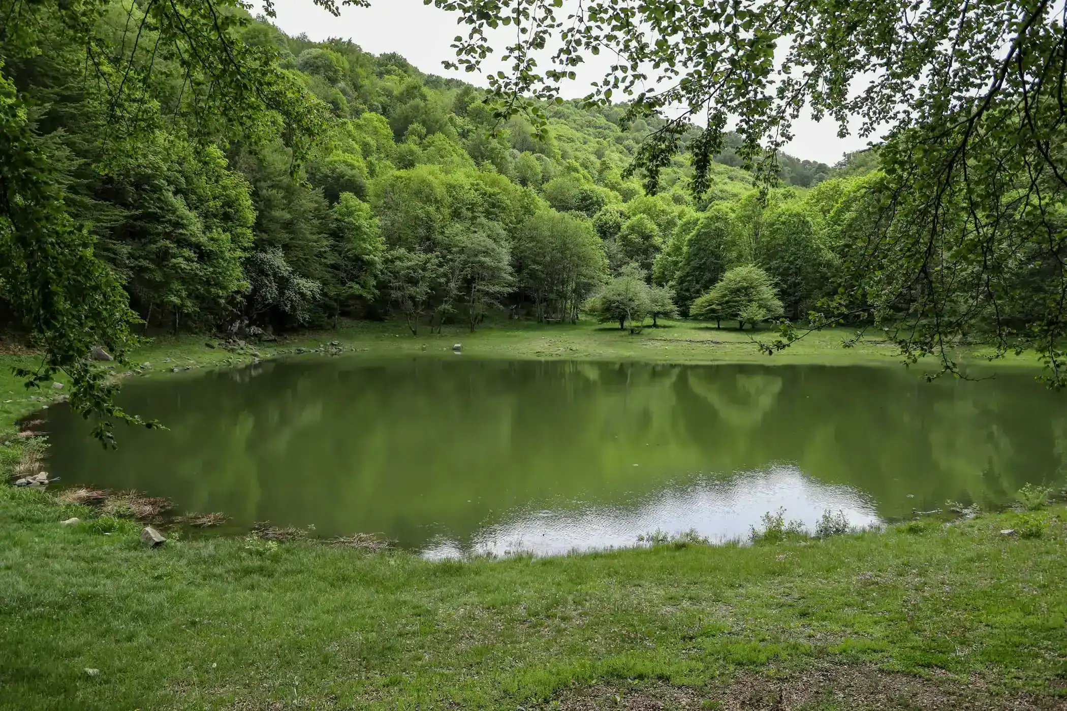 Lago Verde